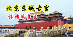 骚妇色欲av中国北京-东城古宫旅游风景区